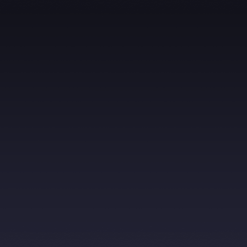 The darkened night sky.
